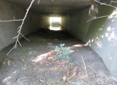 view under bridge Pflugerville